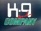 Title card from K-9 and company with the K-9 in an old computer-readable font.